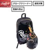 Rawlings Baseball Adult Glove Holder Glove Maintenance Maintenance Dryer Moisture