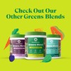 Amazing Grass Greens Superfood Powder: Greens Powder with Digestive Enzymes
