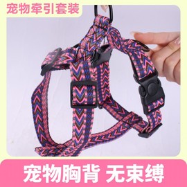 Outdoor Training Gear for Large & Small Dogs (Golden Retriever & Labrador) Red S 10ea