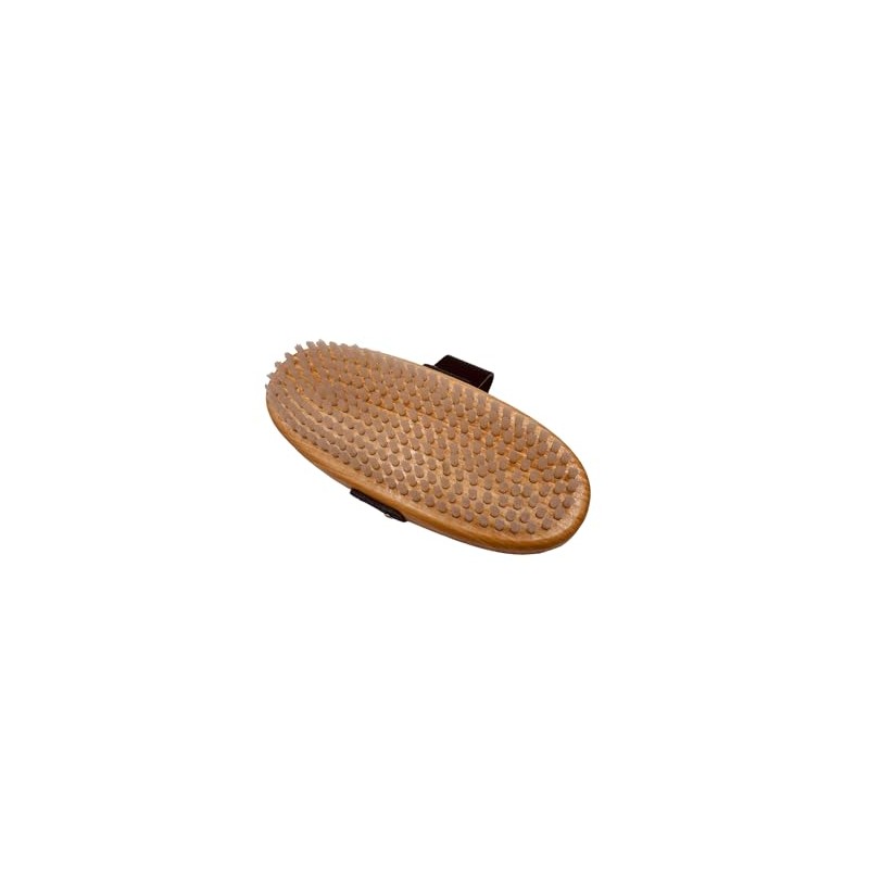 Snow-WaxX Base Brush Oval Nylon | Ski Brush | Coating