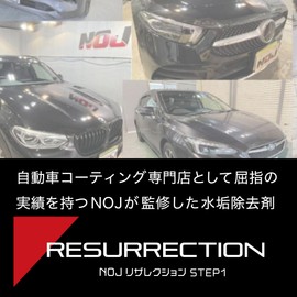 NOJ RESULTION 10.1 fl oz (300 ml) | Professional Scale Remover | Car Wash Tool | For Coated and Uncoated Cars