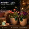 Solar Garden Lights for Outdoor Décor – 2 Pack Firefly