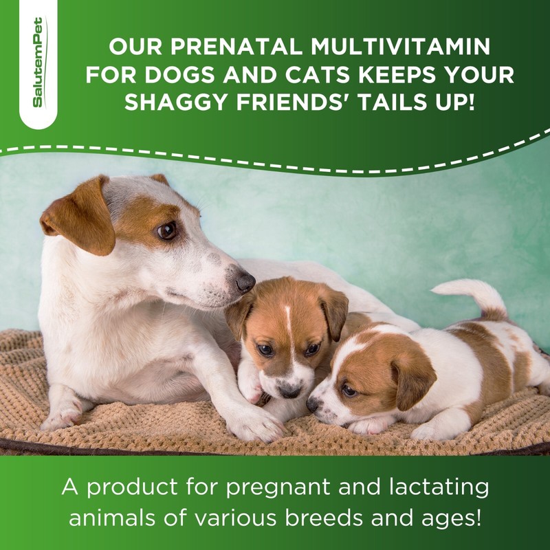 SalutemPet Prenatal Vitamins for Dogs & Cats with Glucosamine |