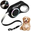 Correa Retráctil para Perro con Luz Led, 6 M Correa