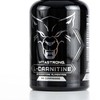 Vitastrong Carnitine | 100% Pure L-Carnitine | Improves Energy and