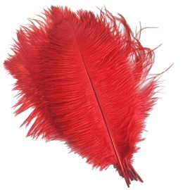 House Life 10pcs 12-14 Inch 30-35cm Ostrich Feathers Wedding Party Decoration (Red)