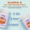 Gyumolics Urolitina A 1200 Mg - 180 Cpsulas