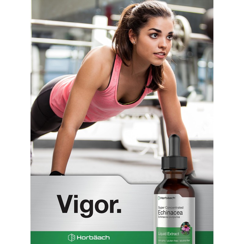 Horbaach Echinacea Drops Herb Tincture | 2 fl oz |