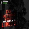 GORILLA SQUAD Dip Belt Dip Chinning Belt Heavy Duty Chain