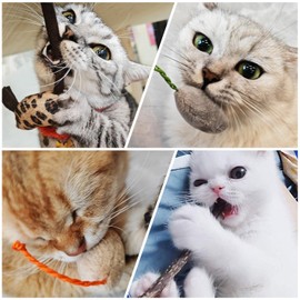 winbarry Pack of 36 Catnip Toys, Catnip Toy, Plush Mouse, Cat Toy, Interactive Cat Toy for Cats and Kittens Toy Mice