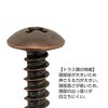 Daido Hunt Bronze Tapping Screw, Truss Head (Diameter: d) 0.1