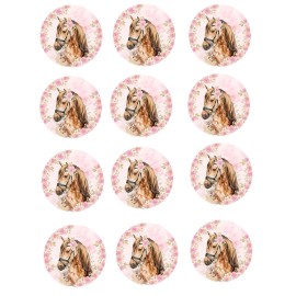 Sweets Party Treats set of 12 Horse theme, edible paper, cupcake cookie toppers, horse birthday pony