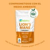 Wellthy Lion’s Mane 180 Cápsulas. Melena de León 750mg c/u,