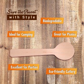 Disposable Wooden Spoons – 110 Pack 3.9 Inch Mini Wooden Spoons, Biodegradable Sample Spoons