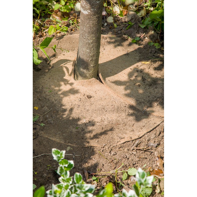 La cordeline Jute Felt Mulching Discs 700gsm 30cm Pack of