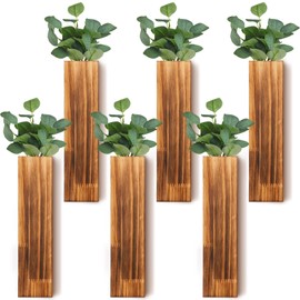 Skylety 6 Pack Wood Wall Planters for Indoor Plants Wooden Hanging Vase Farmhouse Wall Decoration for Bedroom and Living Room(Wood Color)