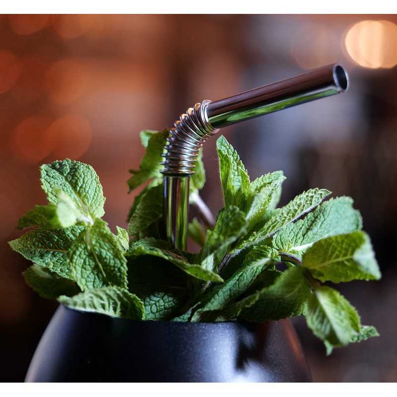 HalmBrüder | The Only Bendable Stainless Steel Straw | Hygienic