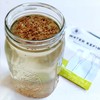 Cultures for Health Water Kefir Grains | DIY Fermented Probiotic