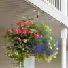 Muccibi Adhesive Ceiling Hooks, 5 Pack Ceiling Hooks Heavy Duty