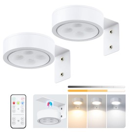2-Pack Picture Light Battery Operated, LED Painting Lights with Remote, Dimmable and Timer Painting Light, Art Display Light for Picture Frame Artworking Portrait, Home Wall Decor wall lights, White