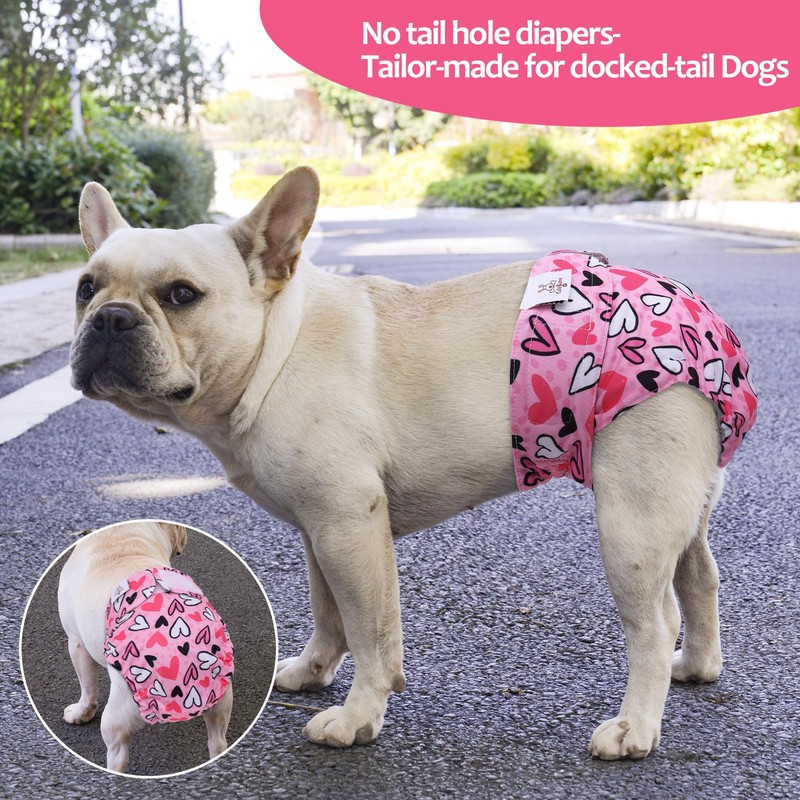CuteBone Washable Dog Diapers Female No Tail Hole 3 Pack