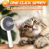 PHIXBEAR 3 in 1 Cat Steam Brush, Rechargeable Steam Brush