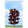 Copper Beech Tree 180mm