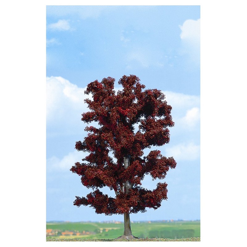 Copper Beech Tree 180mm