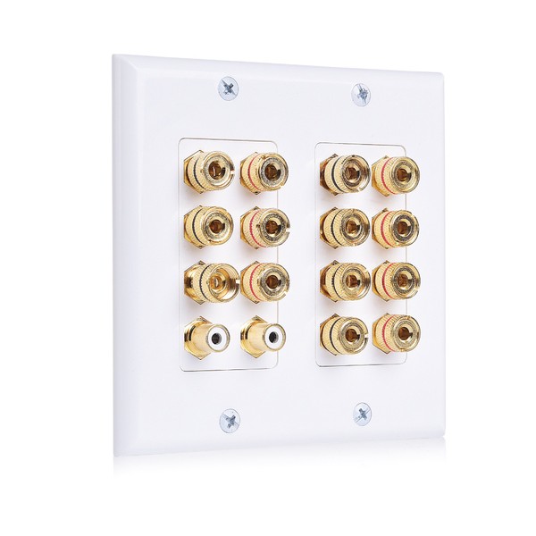 Cable Matters Double Gang 7.2 Speaker Wall Plate, Home Theater
