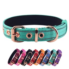 Yunleparks Neoprene Padded Dog Collar,Nylon Dog Collar for Small Medium Large Dogs,Heavy Duty Dog Collar with Metal Buckle,Adjustable Reflective Dog Collar (Large, Teal)