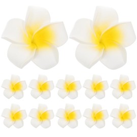 FRCOLOR 25Pcs Hawaiian Foam Plumeria Flower Hair Clips Beach Vacation Headpiece Accessories for Women Girls