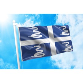 DMSE Snake French Region of Martinique Flag 3X5 Ft Foot 100% Polyester 100D Flag UV Resistant (3' X 5' Ft Foot)