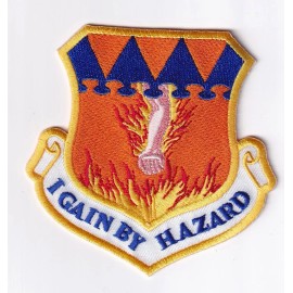 317th Airlift Group Patch – Hook and Loop, 3.5"