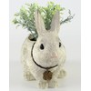 Kishima Rabbids Farm Planter (S)