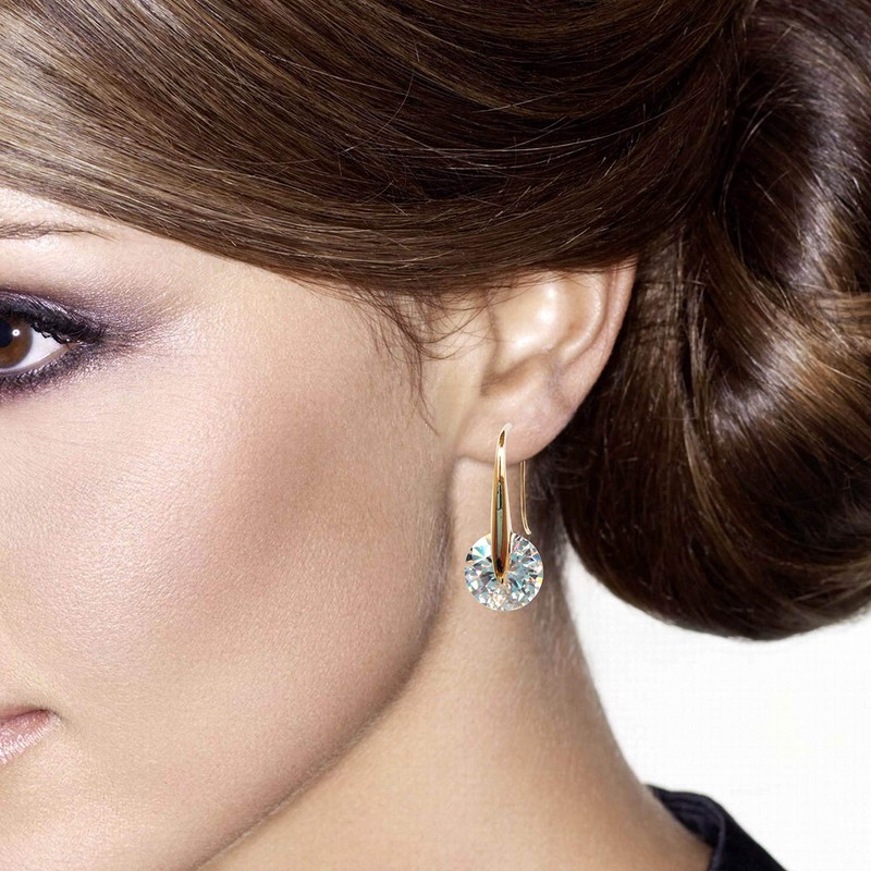 Generic 18k Gold Plated Clear Circle Zircon Dangle Drop Earrings