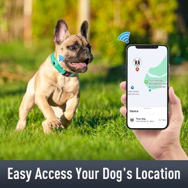 Erbine Airtag Dog Collar with AirTag Holder for Puppy Small Dogs, Reflective, Soft Padded & Safety Locking Buckle, Nylon Pet Collars Adjustable for All Breeds, Teal,XS