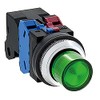 IDEC φ30 Series Illuminated Pushbutton Switch, Plump Type, Momentary Shape,
