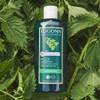 Logona Naturkosmetik Care Shampoo, Organic Nettle