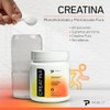 Primetech Nutrition Creatina Monohidratada Micronizada en Polvo 300 gr