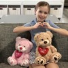 BENINY 3Pcs Valentines Bulk Teddy Bear with Heart, Cute Pink