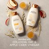 Aveeno Aveeno Apple Cider Vinegar Sulfate-Free Conditioner for Balance &