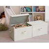 StorageWorks Fabric Storage Bins with Lid, Decorative Storage Boxes for