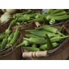 Okra Seeds for Coffee Lady's Finger Bamia Vegetable for Planting