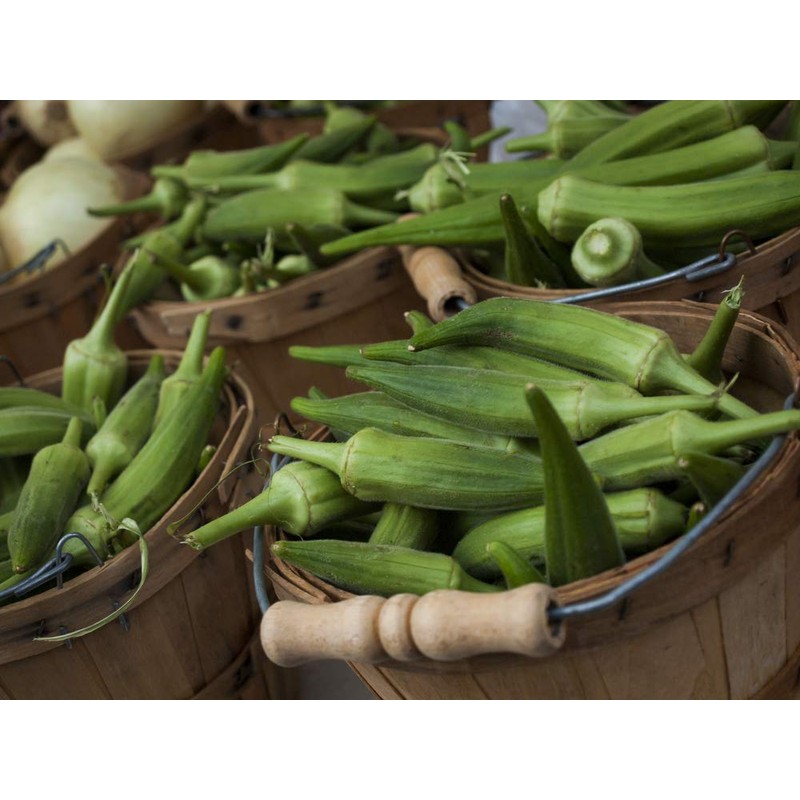 Okra Seeds for Coffee Lady's Finger Bamia Vegetable for Planting