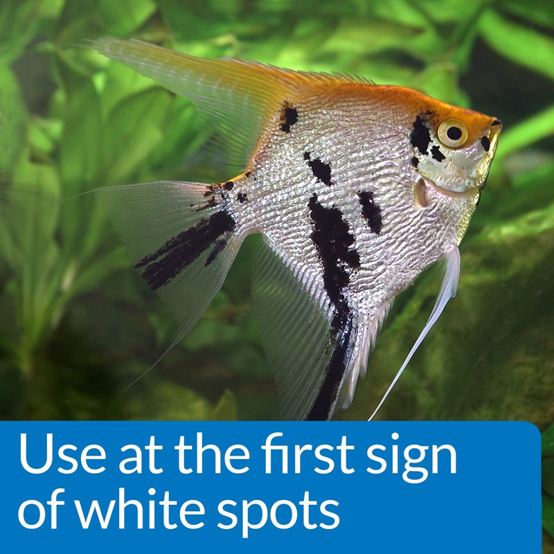 API LIQUID SUPER ICK CURE Freshwater and Saltwater Fish Medication