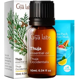 Gya Labs Thuja Essential Oil - 0.34 Fl Oz - for Hair, Skin, Diffuser, Aromatherapy & DIY Candle Making Scent