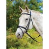 Shires Avignon Louisville Bridle - Black (Cob)
