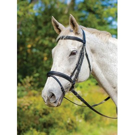 Shires Avignon Louisville Bridle - Black (Cob)