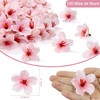 XIANNVXI Set di 100 teste di fiori di ciliegio artificiali