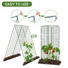 AGTEK 34" x 48" Foldable Cucumber Trellis with Garden Stakes